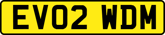 EV02WDM