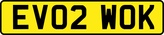 EV02WOK
