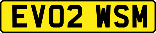 EV02WSM
