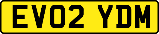 EV02YDM
