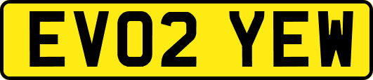 EV02YEW
