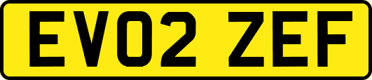 EV02ZEF