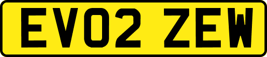 EV02ZEW