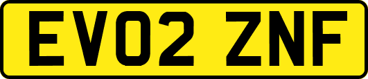 EV02ZNF
