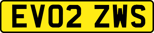EV02ZWS