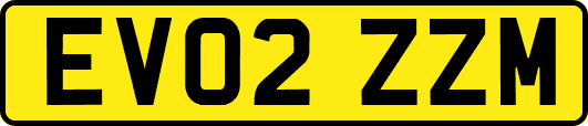 EV02ZZM