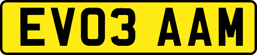 EV03AAM