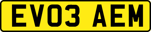 EV03AEM