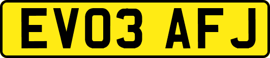 EV03AFJ
