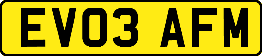 EV03AFM