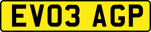 EV03AGP