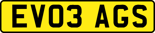 EV03AGS