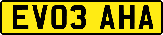 EV03AHA