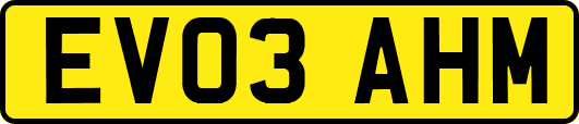 EV03AHM