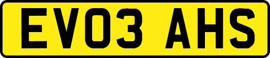 EV03AHS