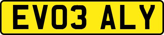 EV03ALY