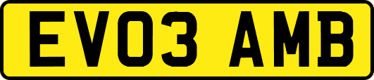 EV03AMB