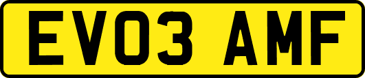 EV03AMF