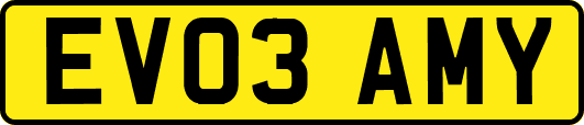 EV03AMY