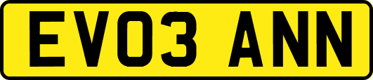 EV03ANN