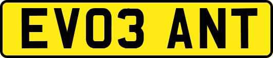 EV03ANT