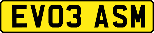 EV03ASM