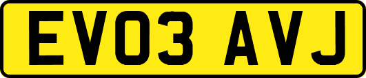 EV03AVJ