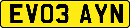 EV03AYN