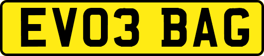 EV03BAG