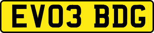EV03BDG