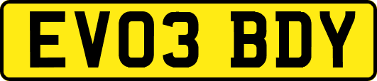 EV03BDY