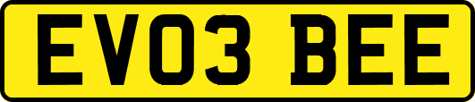 EV03BEE