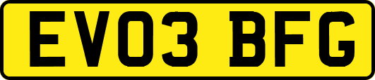 EV03BFG