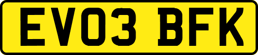 EV03BFK