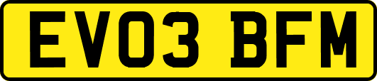 EV03BFM