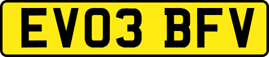 EV03BFV