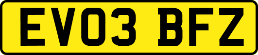 EV03BFZ