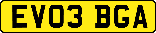 EV03BGA