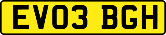 EV03BGH