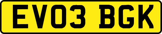 EV03BGK