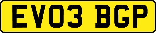 EV03BGP