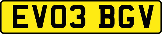 EV03BGV