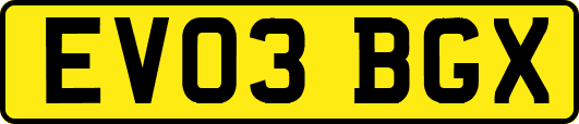 EV03BGX