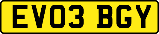 EV03BGY