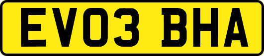 EV03BHA