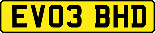 EV03BHD