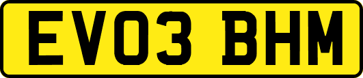 EV03BHM