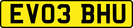 EV03BHU