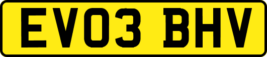 EV03BHV
