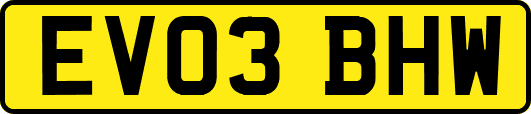 EV03BHW